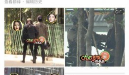 两个人的爆料视频大全,视频大全背后的惊人真相